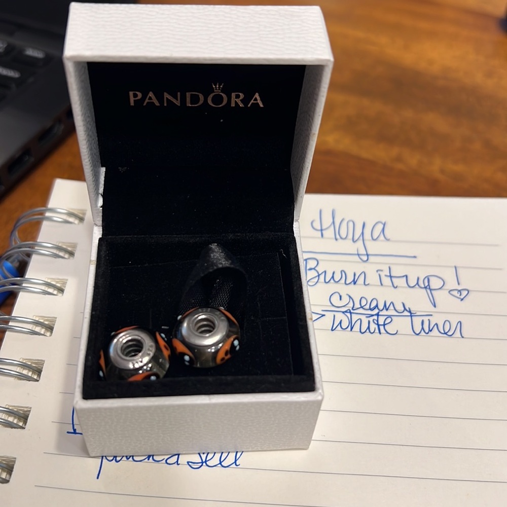 Pandora charms 2 lady bug Murano